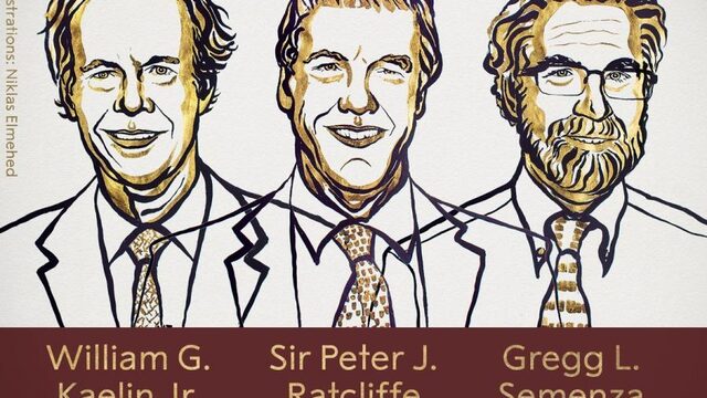 Nobelprijs Geneeskunde voor hoe cellen zuurstof waarnemen