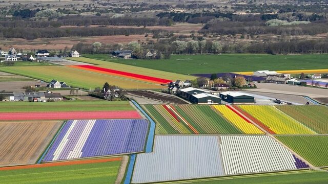 CDA wil mes in landbouwsubsidies