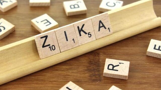 Hersentumor bestrijden met Zika? Helemaal geen gek idee