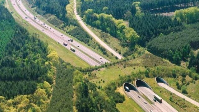 Hoe Nederland natuurgebieden verbindt