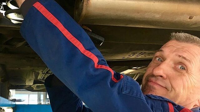 Oprukkende steenmarter afschieten? 'Het is een prachtig dier, koester 'm!'