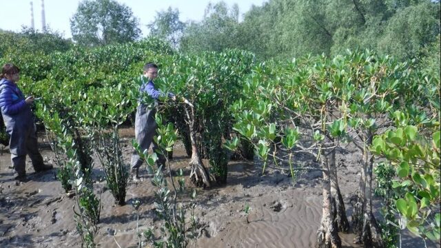 Met de poten in de Chinese modder