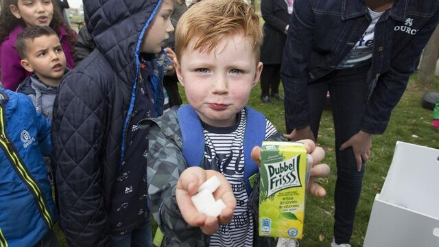 Wat doen partijen voor een gezonder Nederland? 'Het grote plan ontbreekt'