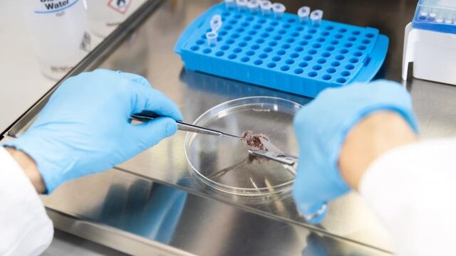 Feit of Fictie: Als 2 procent van de Nederlanders DNA afgeeft, zijn alle Nederlanders te identificeren