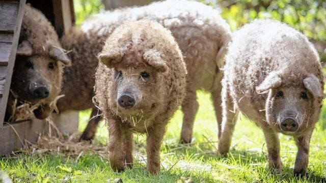 Deadlinestress? Ga naar buiten!