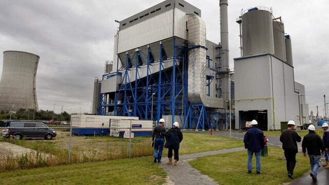 Planbureau: zonder biomassa gaan we de klimaatdoelen waarschijnlijk niet halen