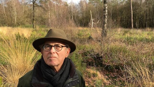 'Staatsbosbeheer moet stoppen met kaalkap'