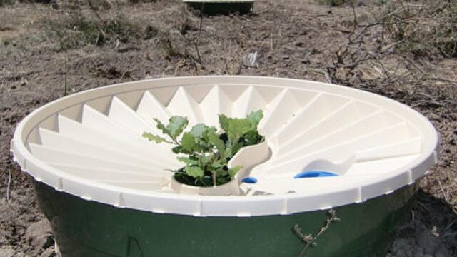 Minder water, meer bomen: deze emmer gaat het klimaat redden