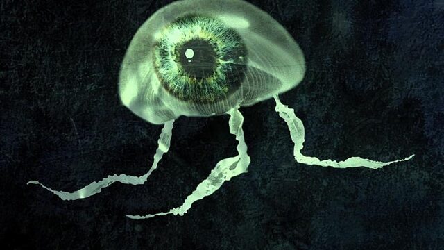 Radio Doc: Een ontdekkingsreis over klimaatverandering