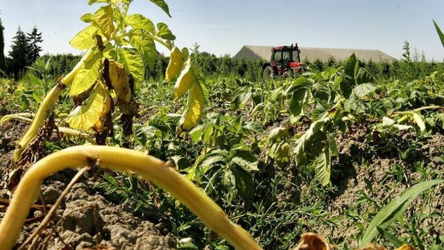 ZLTO: 'Hulp voor boeren na droogte is onder de maat'