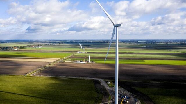 Feit of Fictie: Eén zwartgeverfde wiek van een windmolen kan dode vogels voorkomen