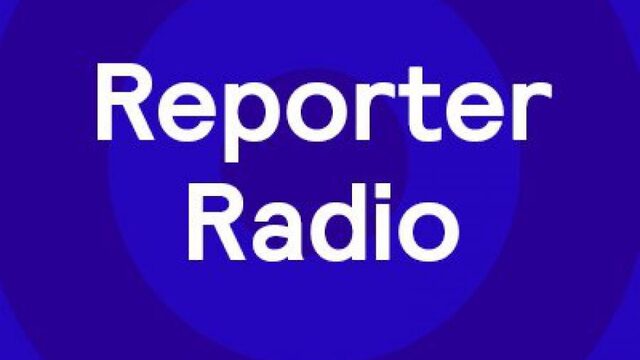ReportersNL 2020