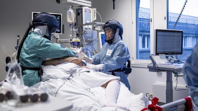 De snelle opmars van de superschimmels