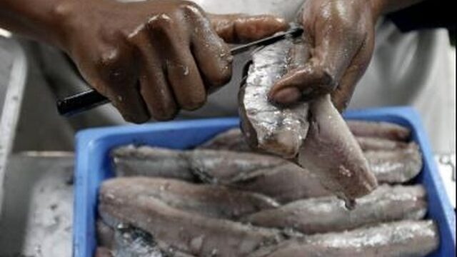 80% van de vis in restaurants is niet duurzaam