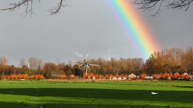 The only queer in the village: 'Ik adem nog, ik draag nog steeds nagellak en glitters'