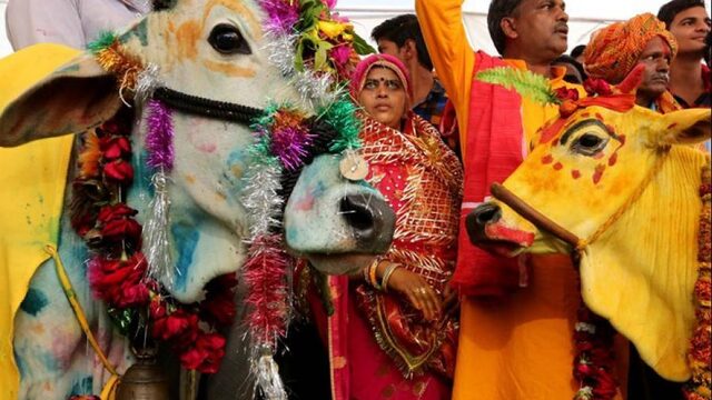 De Heilige Koe #1: Maakt Modi van India een 'Hindoestan'?