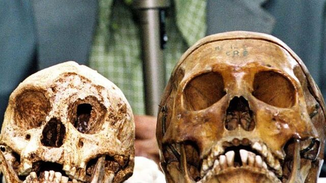 We zijn nestbevuilers, moordenaars en makers