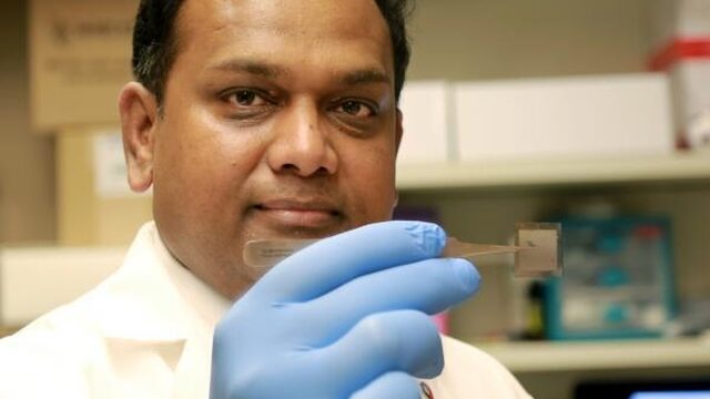 Spectaculair: deze chip herstelt beschadigd weefsel