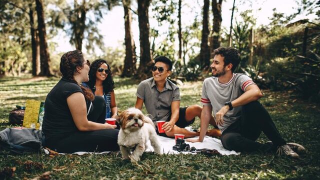 Vergeet de barbecue: de picknick wint terrein
