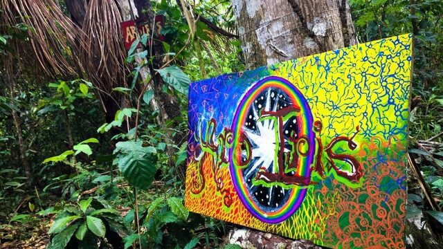 Verbod ayahuasca is 'een verkrampte paniekbeslissing' in huidige burnout-cultuur
