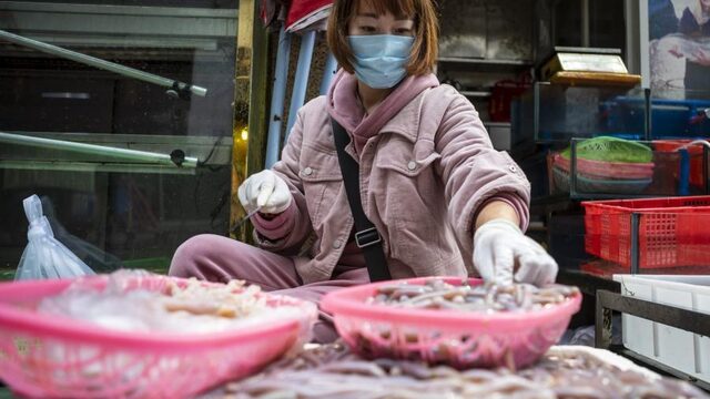 Terug naar de bron: een kijkje op zo'n Chinese markt waar het coronavirus zou zijn ontstaan