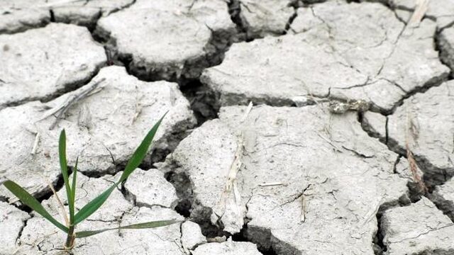 Deze tien zaken veranderen echt door klimaatverandering