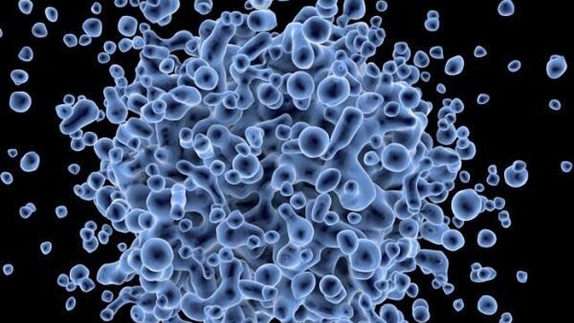 Mogelijk Nederlands middel tegen hiv en andere virussen