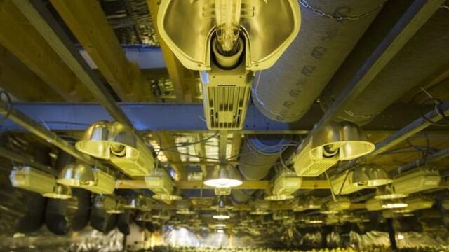 Arme Brabantse boeren in zee met drugscriminelen