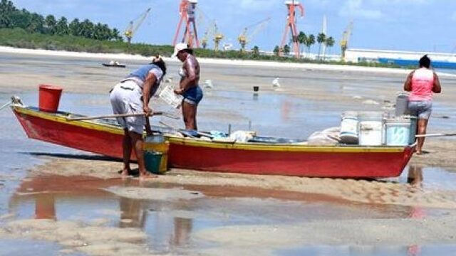 Zo speelt de Nederlandse overheid een rol bij milieuschade in Brazilië