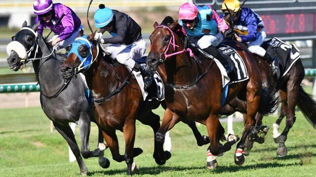 Het Britse paardenracen is plots in crisis. De reden? Paardengriep.