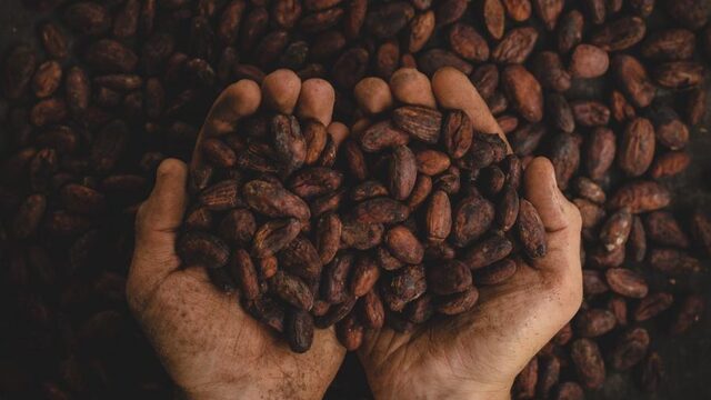 Tony's Chocolonely: 'Wetgeving enige manier om een einde te maken aan misstanden in ketens'
