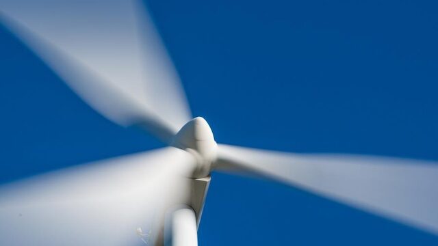 Voor een zeearend stopt de windmolen met draaien