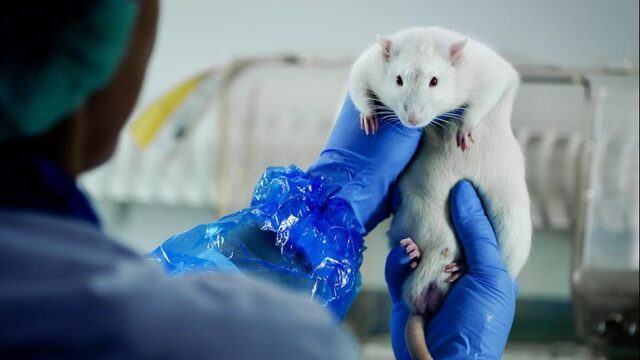 'Dierproeven zijn allang overbodig'