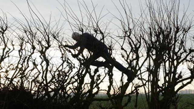 Landschapskunstenaar Andy Goldsworthy duikt letterlijk diep in de natuur