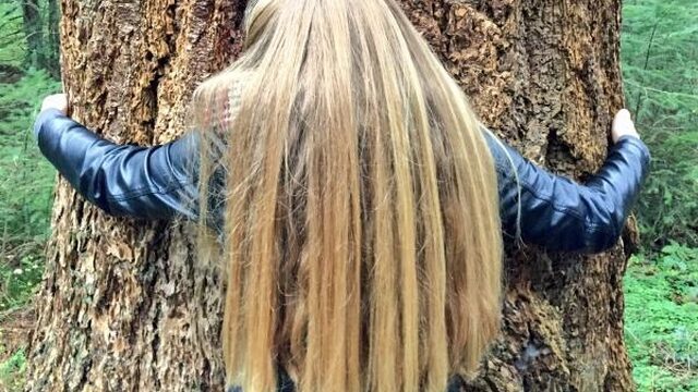 Dit is waarom omgezaagde bomen zoveel emoties oproepen