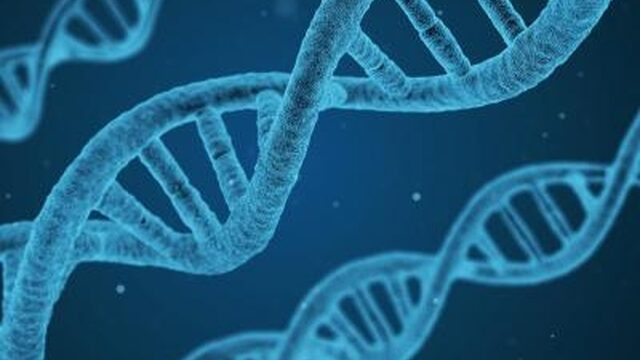 Je dna aan de overheid geven? In Estland hebben ze daar weinig moeite mee