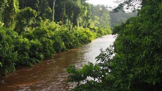 Burgers ontdekken nieuwe diersoorten op Borneo