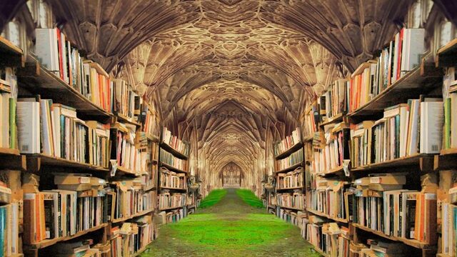 Aanraders: deze non-fictie boeken