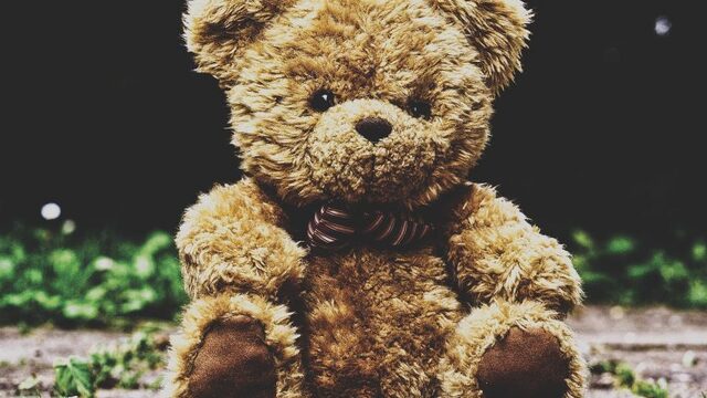 'Op internet gaan filmpjes rond van een jongetje dat de keel van een teddybeer doorsnijdt'