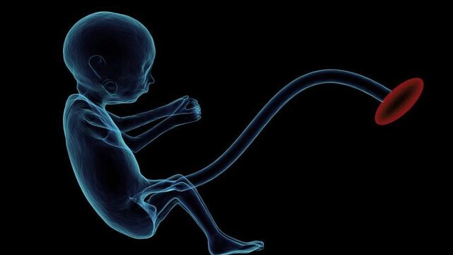 Mogen we embryo's genetisch aanpassen?