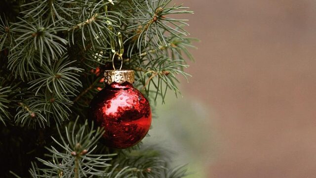 Mag ik nou ook al geen kerstboom meer?