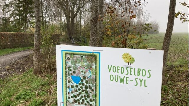Voedselbos: een leuk hobbyproject of echt een nieuwe manier van akkerbouw?