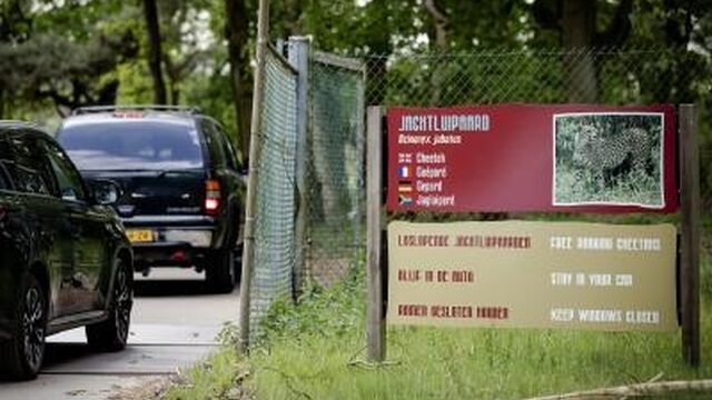 'Cheeta's in safaripark hadden het waarschijnlijk gemunt op kind'