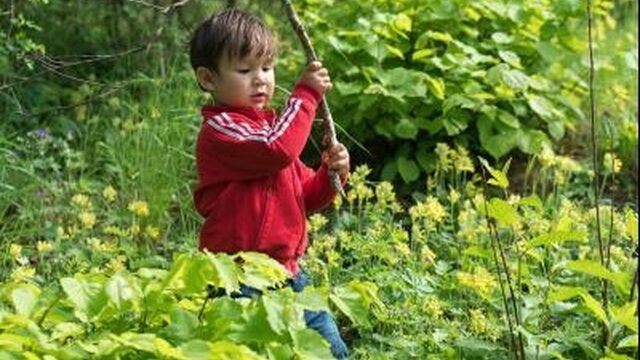 Het Tiny Forest is goed voor de zelfstandigheid van stadse kinderen