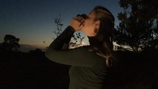 Wolvengehuil imiteren op de Veluwe