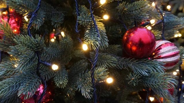 Zo overleef je de kerstborrel