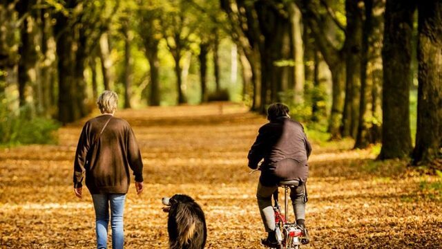 Stand.nl: 'We moeten meer bewegen'