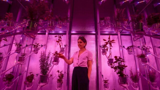 Dit is hoe Dutch Design is veranderd