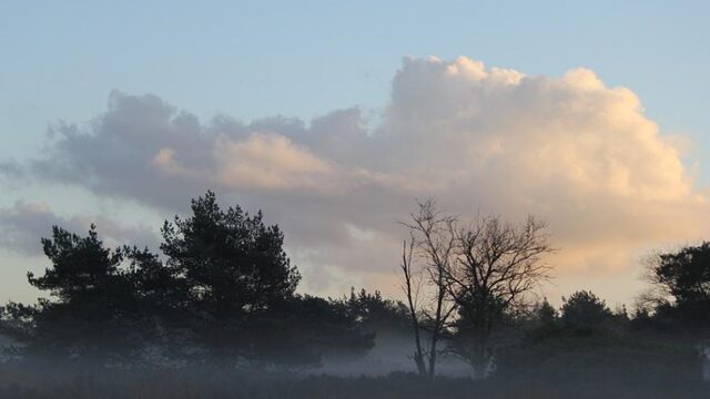 Natuur lijdt flink onder stikstof-hotspot Nederland