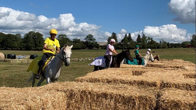De paarden van Bagnols